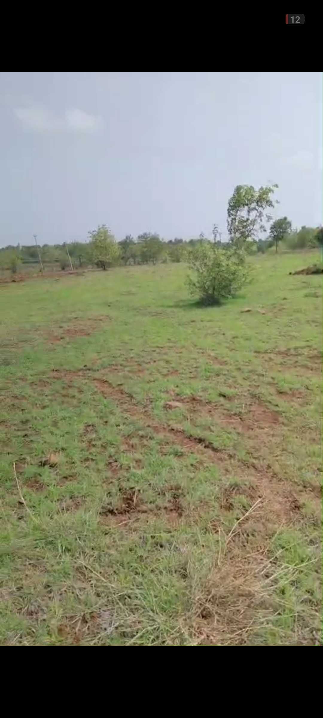 3 Acres Agricultural Land For sale Zaheerabad 