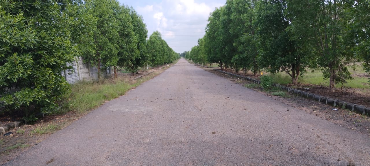 PLOT FOR SALE MUMBAI HIGHWAY SADASHIVAPET