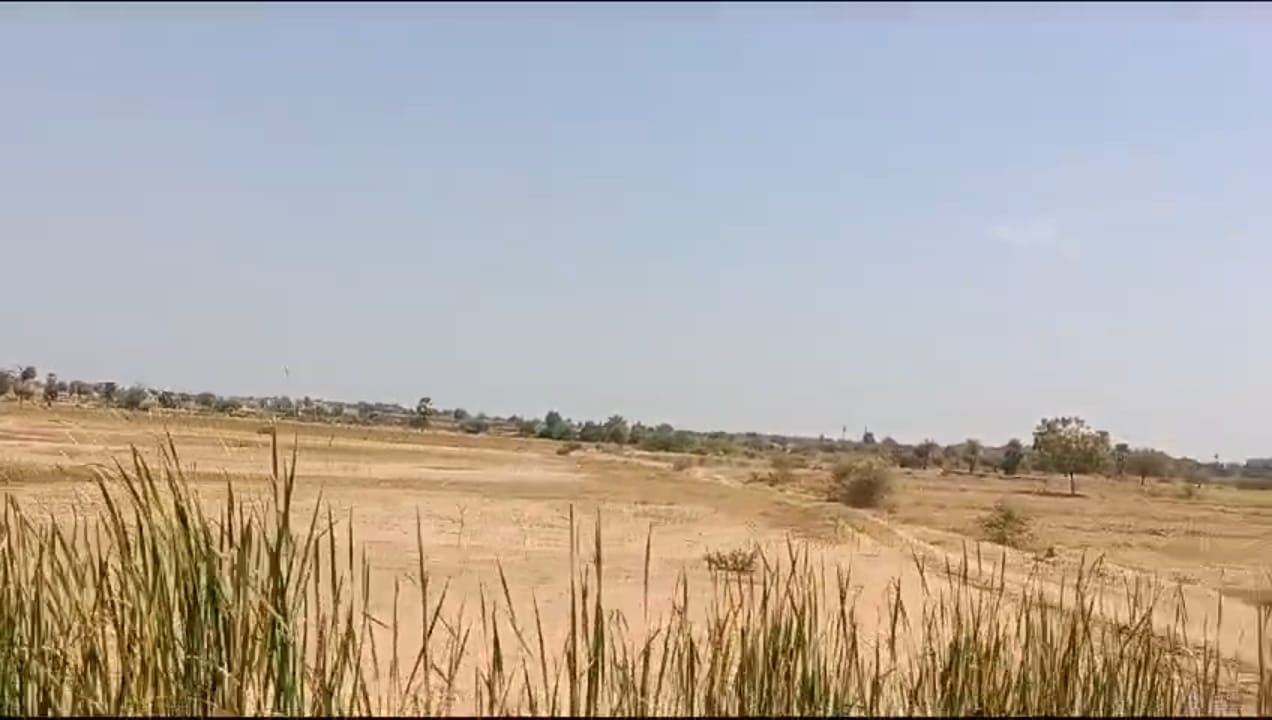Agriculture Land For Sale at Raichur - Kurnool Highway