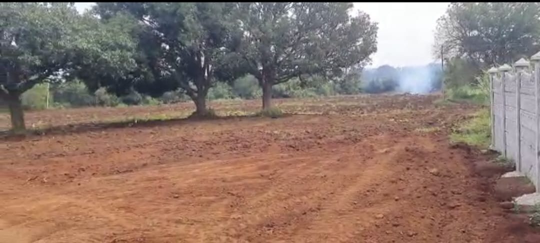 3 acres farm land for Sale near Bijapur Highway