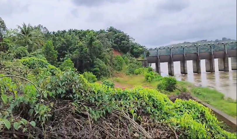 2 Acres Agricultural Land For Sale In Hassan Mangalore