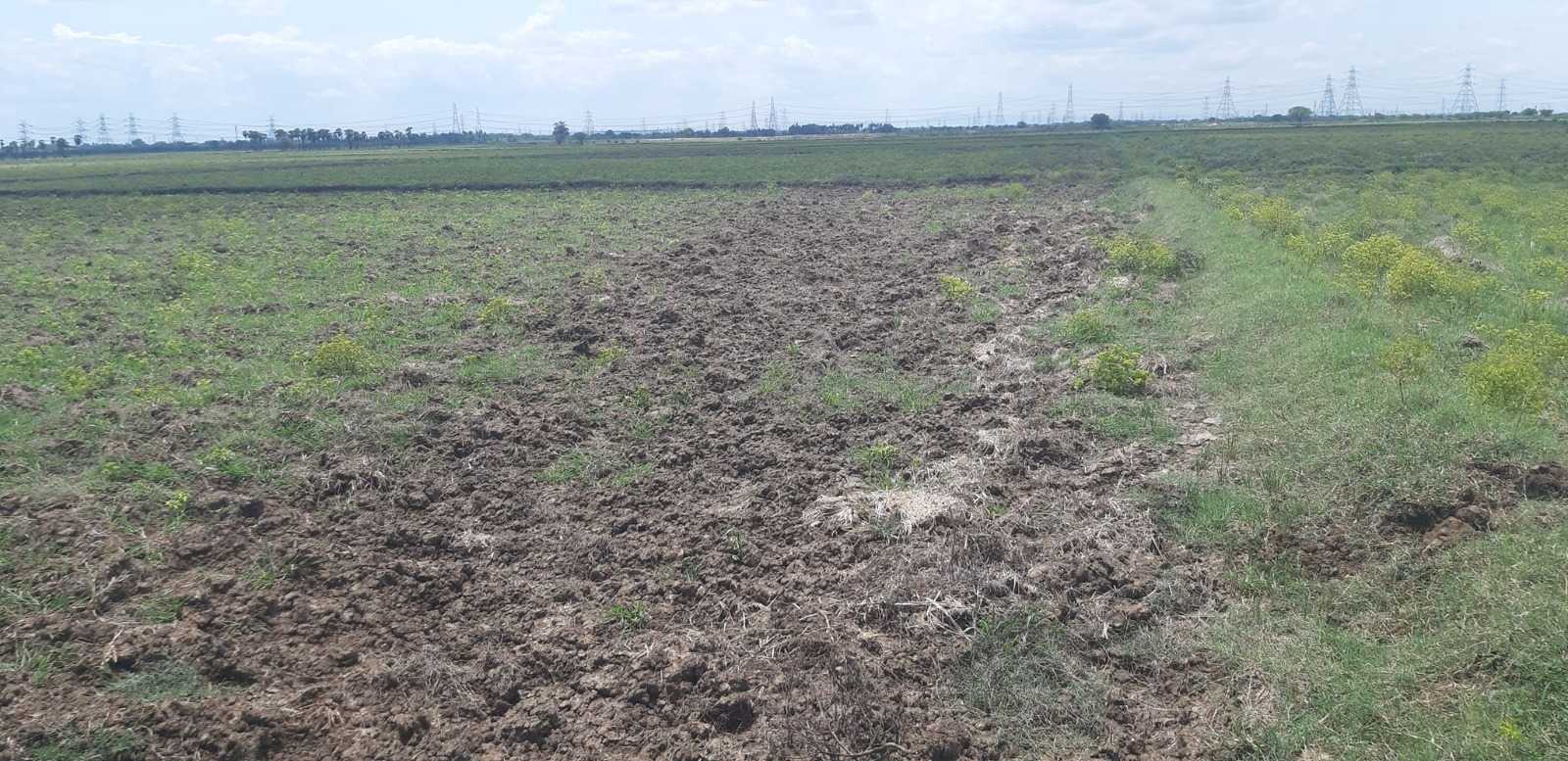 46 Acres of Land for Sale near Nellore, Andhra Pradesh