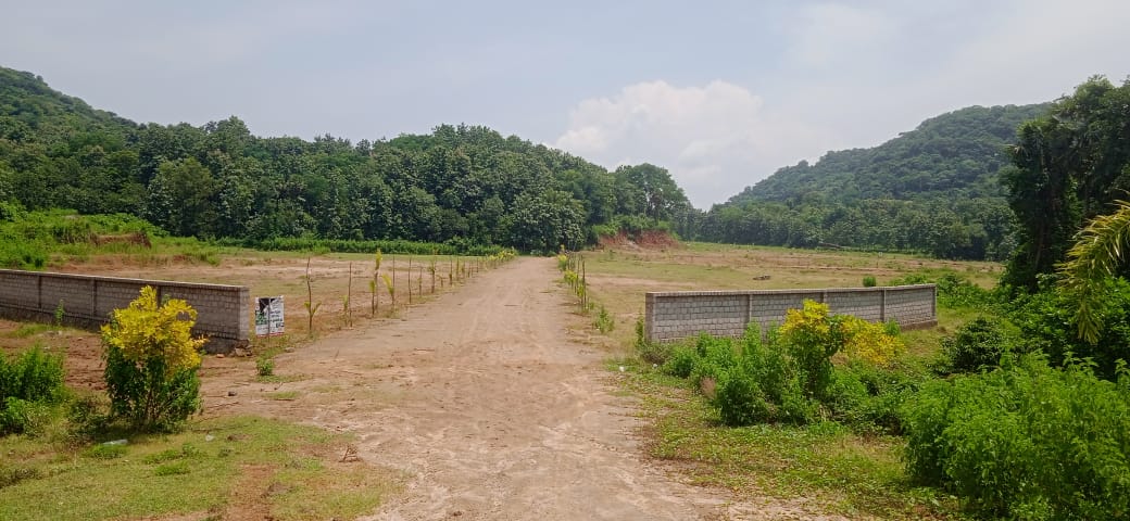 30 Acres Agricultural Land For sale In Sarvavaram Anakapalli