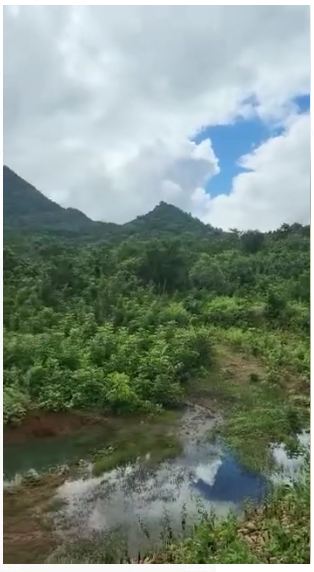 40 Acres of Prime Development Land For sale in Gotlipadu, Aruku , Vizag