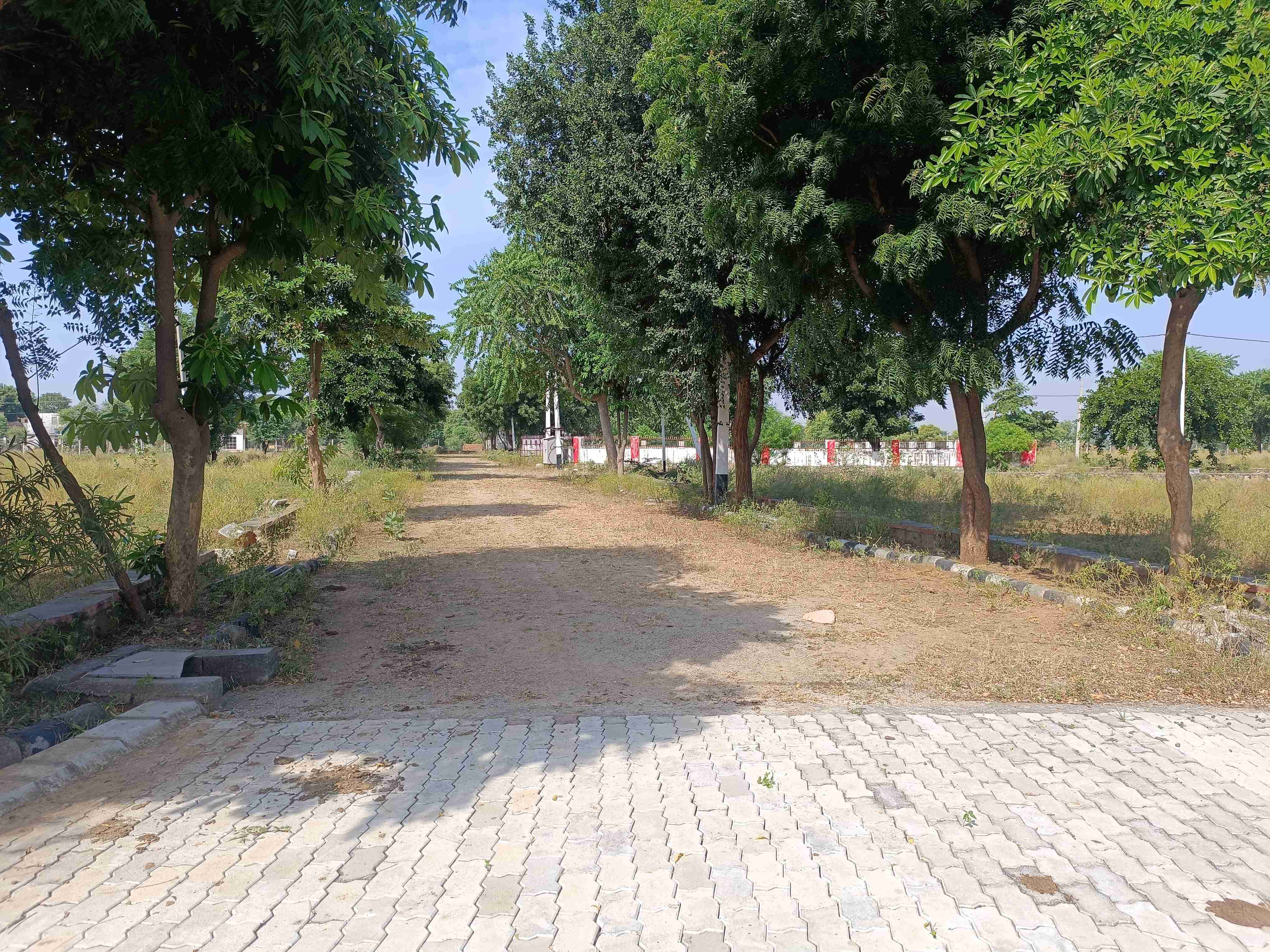 2 Acres Land for Sale in JP Thanda, Nagunoor, Siddipet