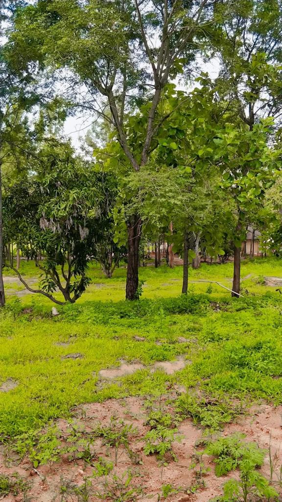 Buy one ,half or quater acre managed famland in kanakapura,Bangalore