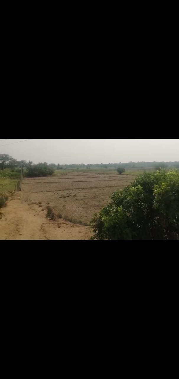 3 acres land for sale  Nerlapalli , Mahbubnagar