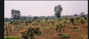 1 Acre 7 Guntas Form Land Plot For Sale On Kondapochamma Reservoir Siddipet