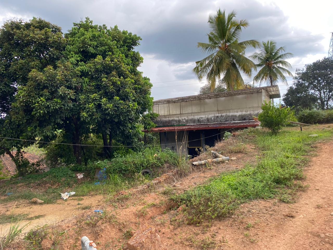 111 acres land for sale Halady Kundapur Udupi
