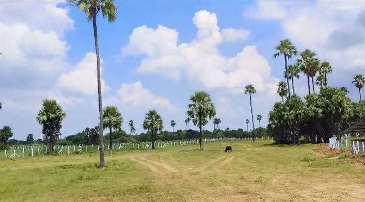7 Acres Agricultural Land For Sale In Siddipet