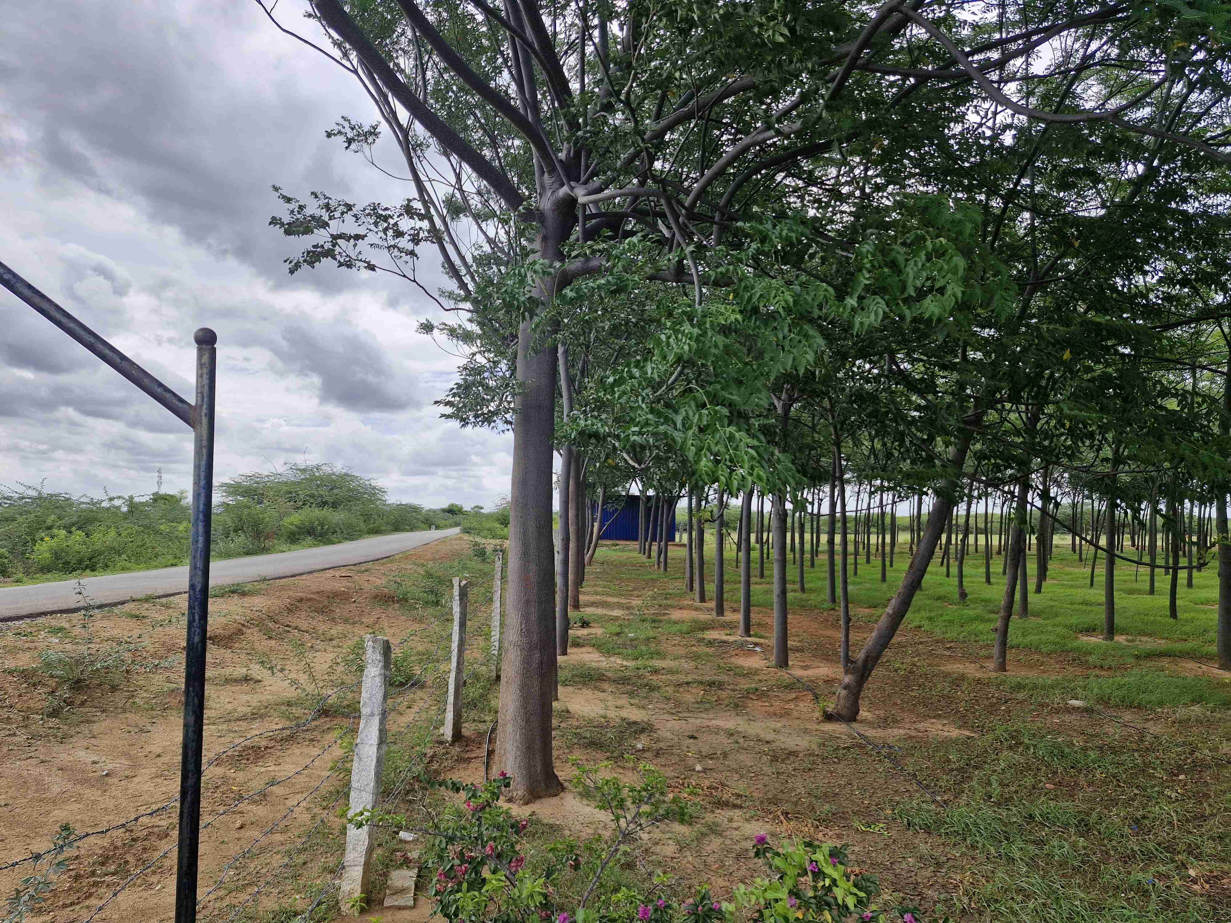  5.5 Acres land for sale at Julukunta