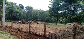 Commercial plot 28,340 sqft, attached to NH-275