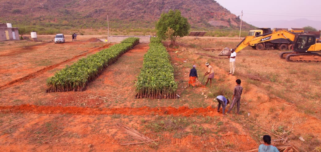 Best investment in Red sandalwood Farm Lands for sale at Pragallapadu  Peddaraveedu Mandal, Prakash am District