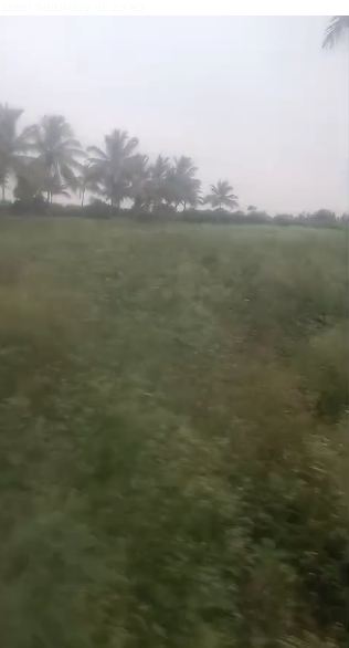 14 Acres Land For Sale in Sillagata,Karnataka