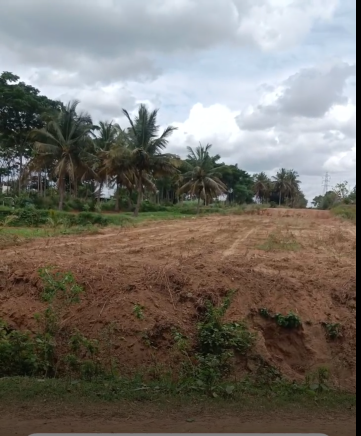 35 Guntas land for sale in Kunigal Karnataka