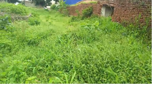 Farm land for Sale in Mittur Tamil Nadu