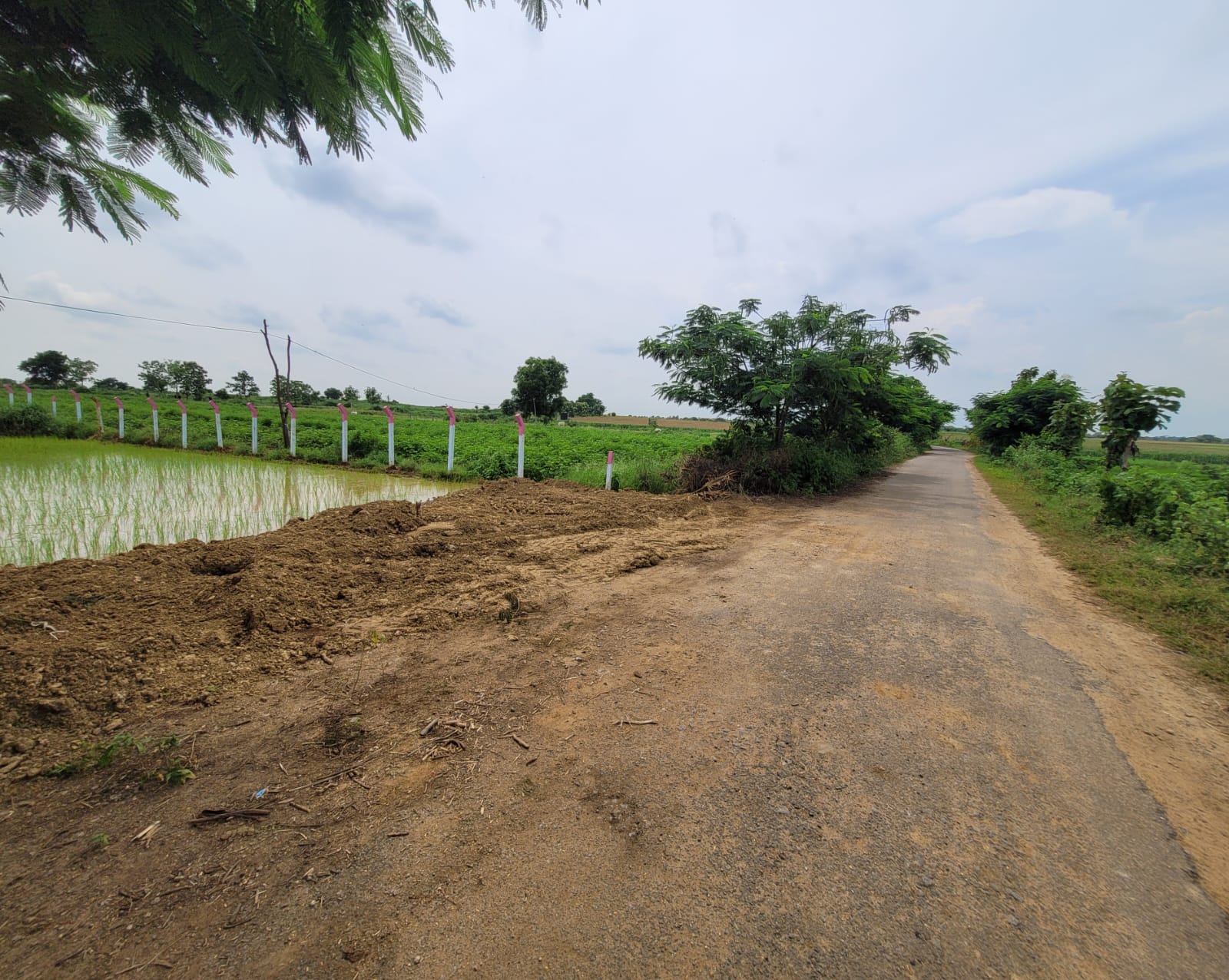 1.28 Acres Agricultural Land for sale in Akkannapet Kamareddy
